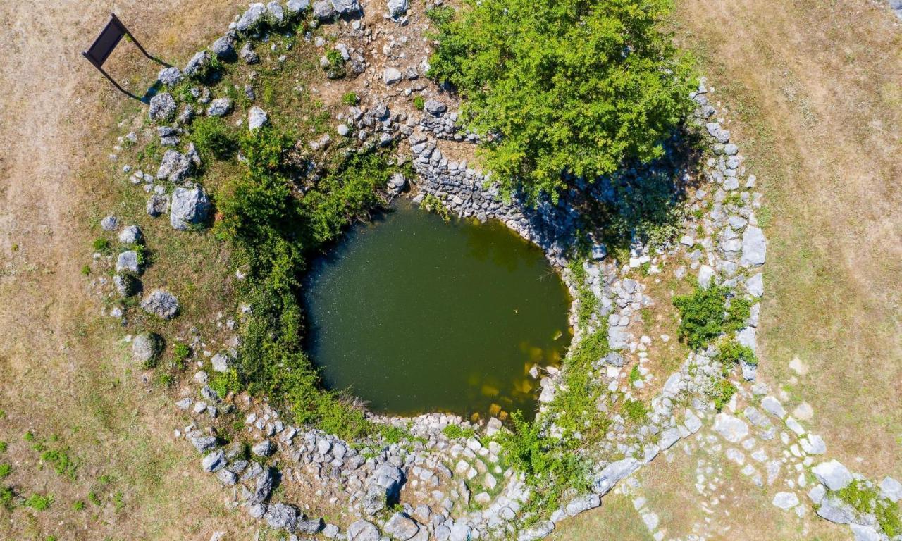 Villa Majkovica Орашац Экстерьер фото